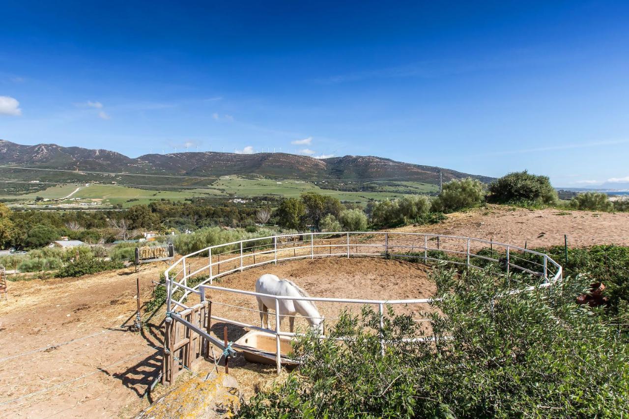 Casita Rural En Centro De Hipica Apartment Tarifa Exterior photo
